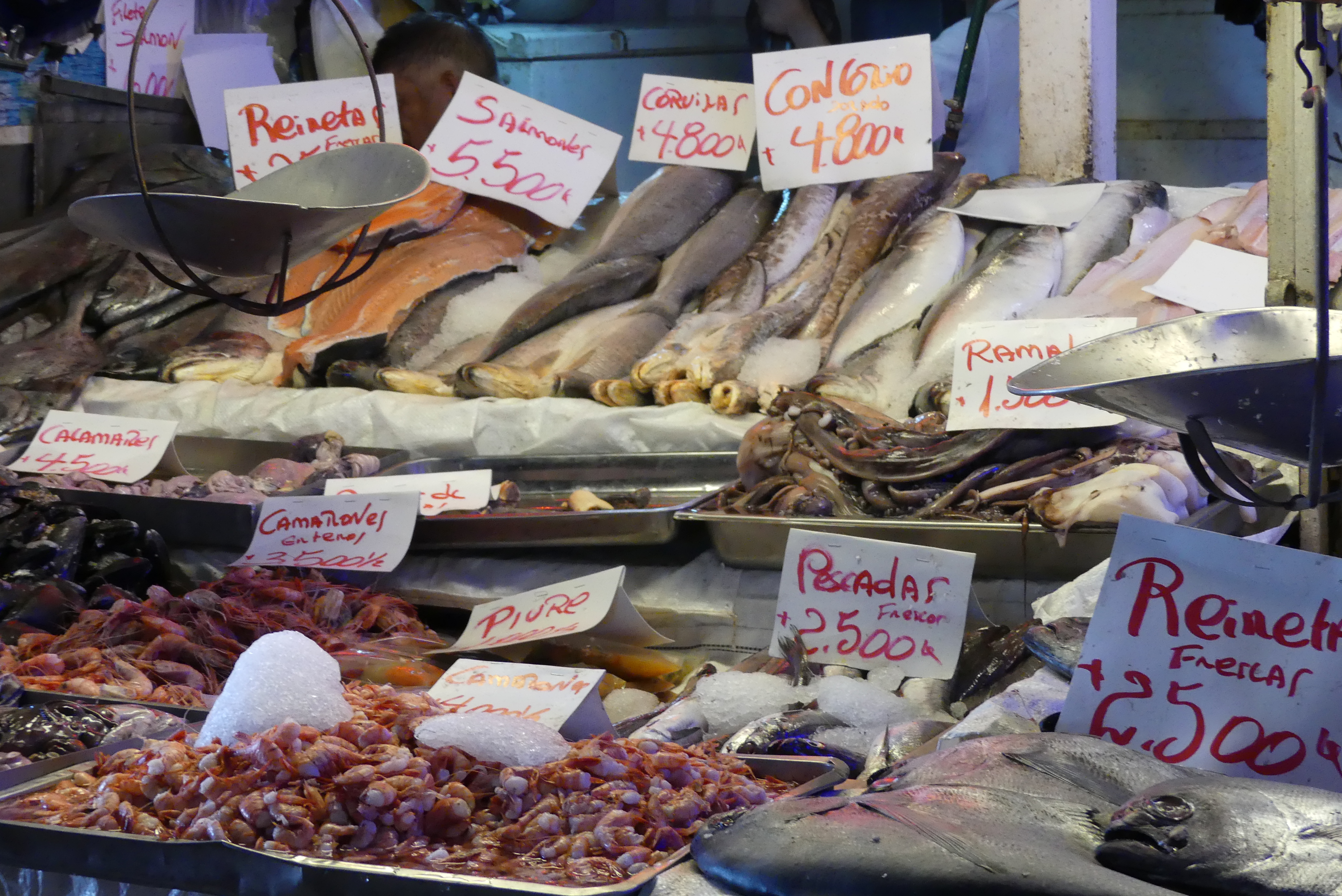 Fischmarkt in Santiago