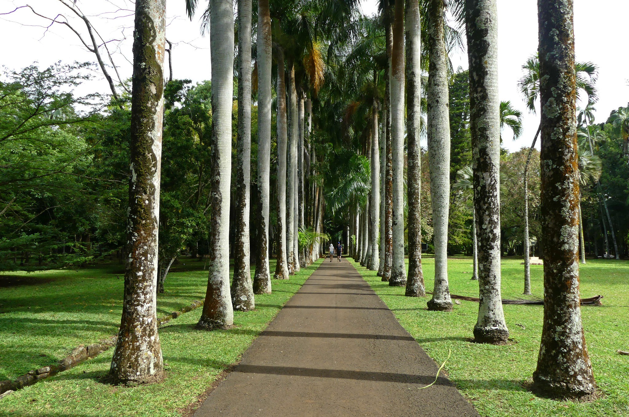Pamplemousses Botanical Gardens