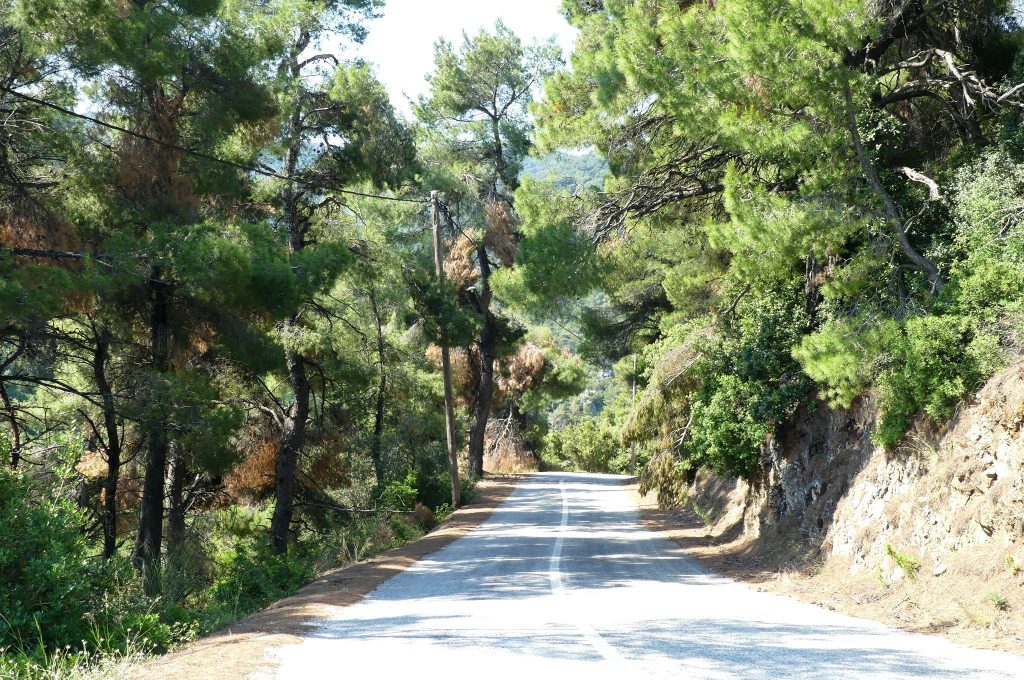 Skopelos Straße