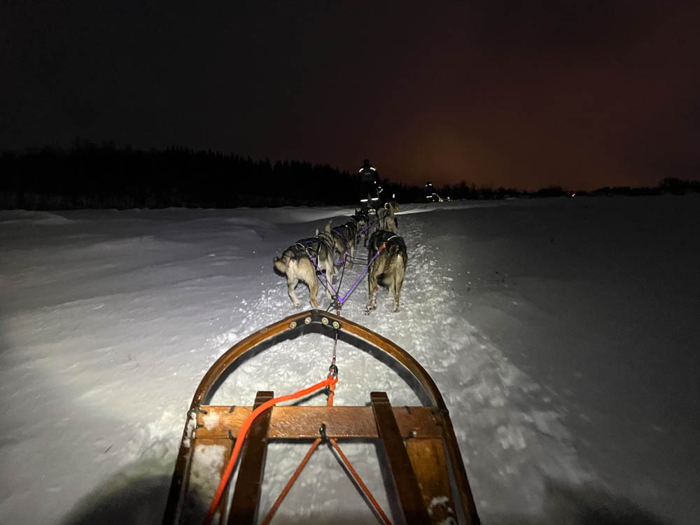 Hundeschlittentour Huskies in Tromsø Norwegen